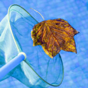 Winterize a Salt Water Pool