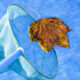 Winterize a Salt Water Pool